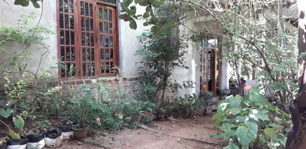 Kon Tree Shade Apartment Dambulla Exterior photo