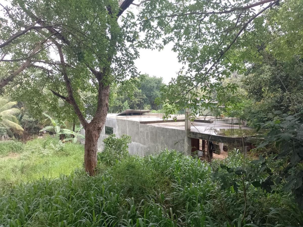 Kon Tree Shade Apartment Dambulla Exterior photo